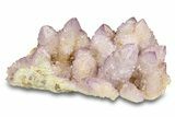 Spectacular Cactus Amethyst Crystal Cluster - South Africa #301878-1